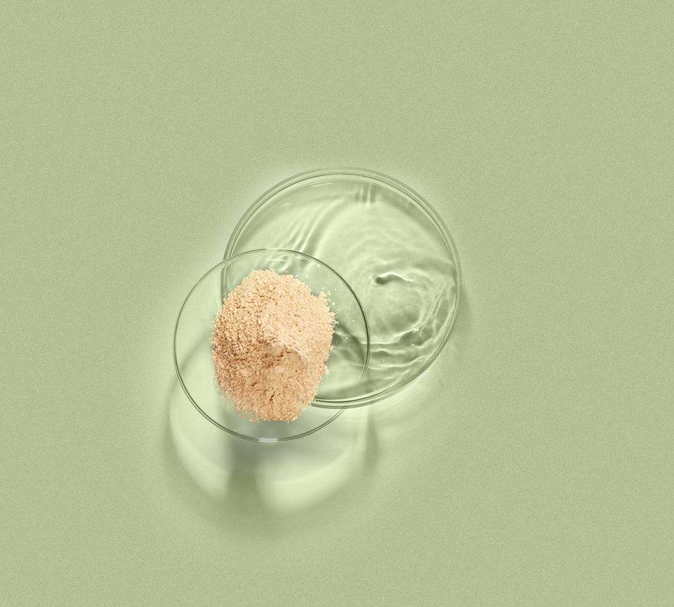 pp电子·(中国)官方网站