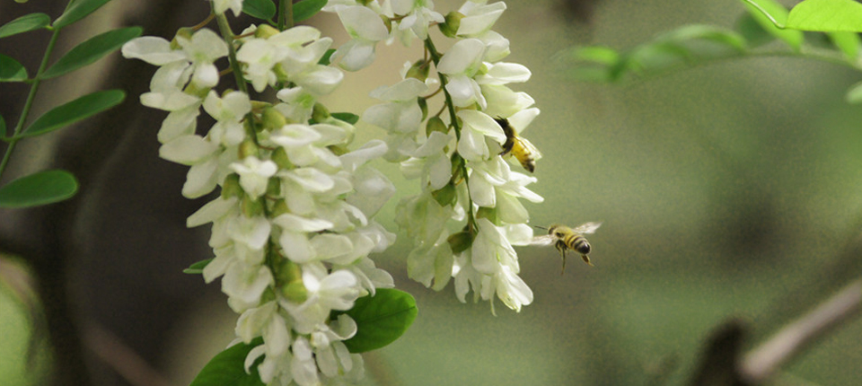 pp电子·(中国)官方网站